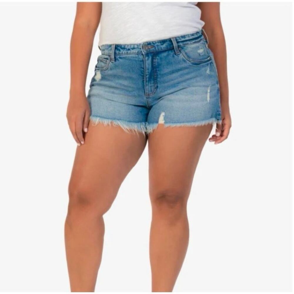 Kut from the Kloth Jane High Rise Denim Cutoff Distressed Blue Jean Shorts 18